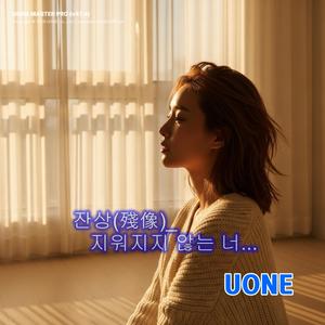 잔상(殘像)_ 지워지지 않는 너...(Afterimage)