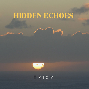 Hidden Echoes