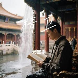 精卫 (元宝李 Remix)