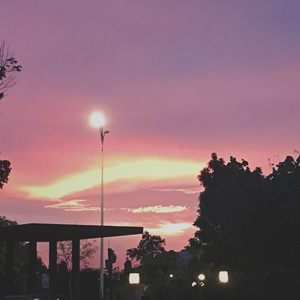 没有愿望（No Wishes）