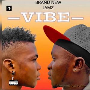 VIBE (feat. ELIJAH COLLINS)
