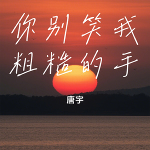 你别笑我粗糙的手