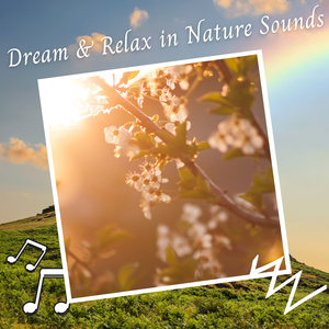Dream & Relax in Nature Sounds - 3 Hours