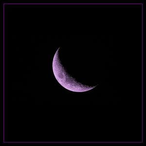 Tutta la Notte