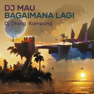Dj Mau Bagaimana Lagi