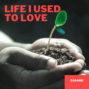 Life I Used to Love