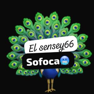Sofoca
