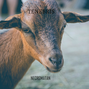 Tenebris
