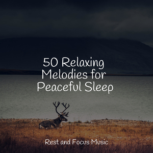 Dusk in the Distance