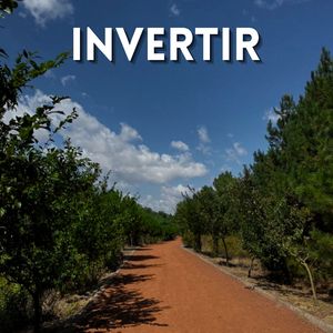 Invertir