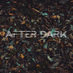 After Dark (feat. Robin Desmet & Tokalah)