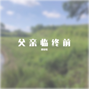 父亲临终前