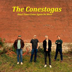 Hard Times Come Again No More