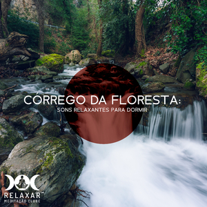 Caminho para o Equilíbrio