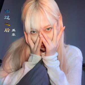 雨过之后 (DJ版)