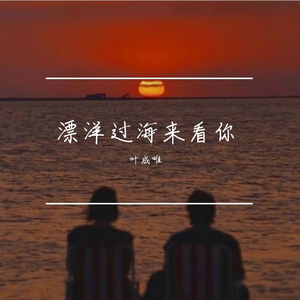 漂洋过海来看你