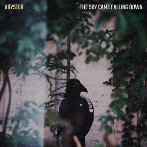 The Sky Came Falling Down