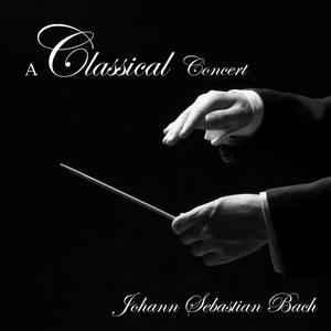 Concerto in D Minor, BWV 974:II. Adagio