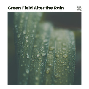 Wholesome Rain, Pt. 29