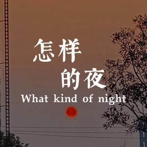 怎样的夜