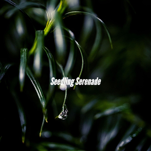 Classic Music for Feelings