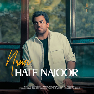 Hale Najoor