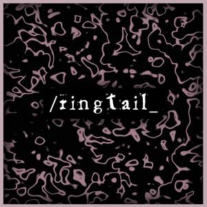 /ringtail_