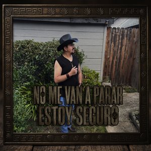 No Me Van a Parar Estoy Seguro