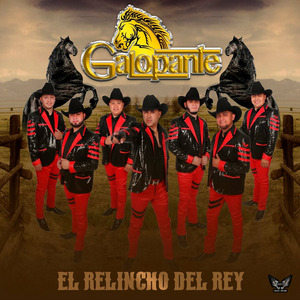 Mi Sueño Perfecto