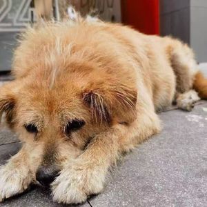 我不是不想说话