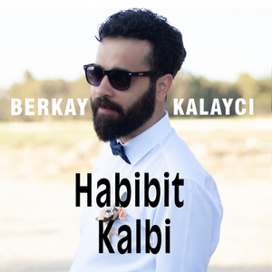 Habibit Kalbi