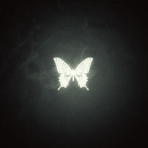 Butterfly 蝶 @河南说唱之神 x Lil Tjay Type Beat