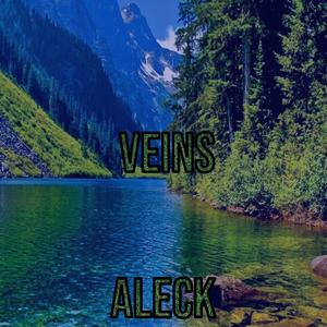 Veins