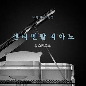 Scherzo No. 1 in b minor, Op. 20