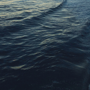Night Wave