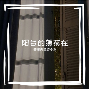 一个严肃的疯子