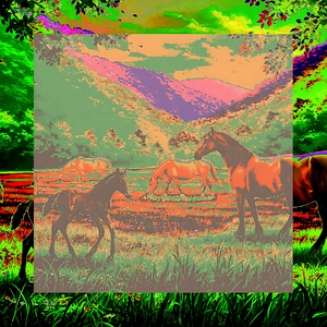 Recavo A Te I Miei Pensieri, Non Mi Dimenticare