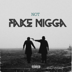 Fake Nigga