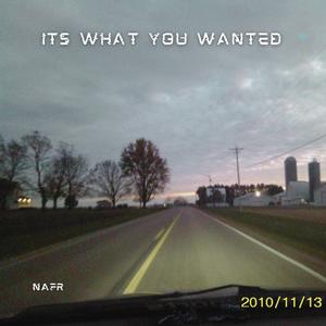 It What You Wanted (feat. Jonah James & im matthew)