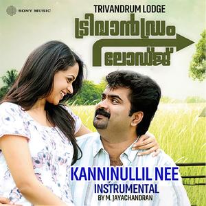 Kanninullil Nee (Instrumental)