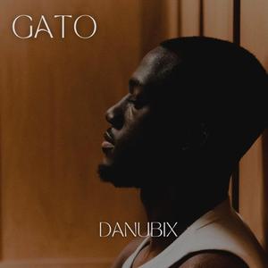 Gato