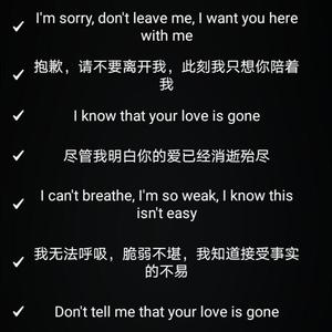 SLANDER-Love Is Gone（南柯一梦 remix）