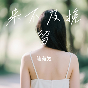 来不及挽留