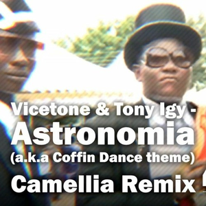 Astronomia(a.k.a Coffin Dance theme)(Camellia Remix)