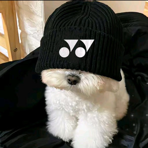 如果分开我也爱你