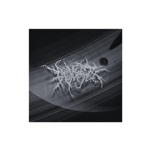 Dissaray (Inst Demo)