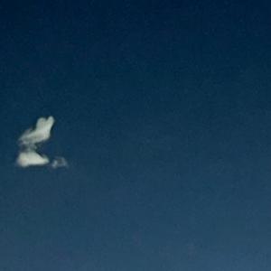 horror (feat. YoVice!)