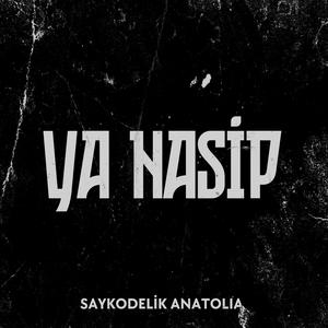Ya Nasip
