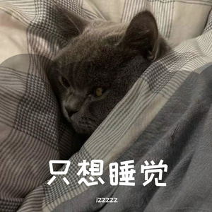 新时代年轻人浪漫爱情故事（prod.Gr33nart Beats）