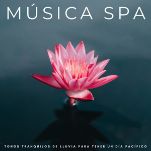 Calmos y Hermosos Tonos